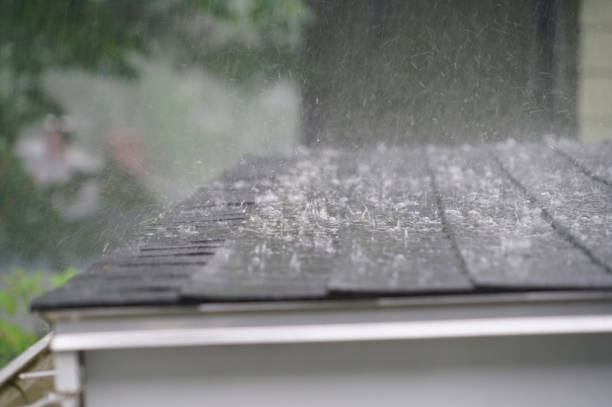 Best Slate Roofing  in Roslyn, PA